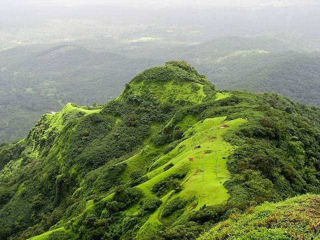 Image of Amboli 