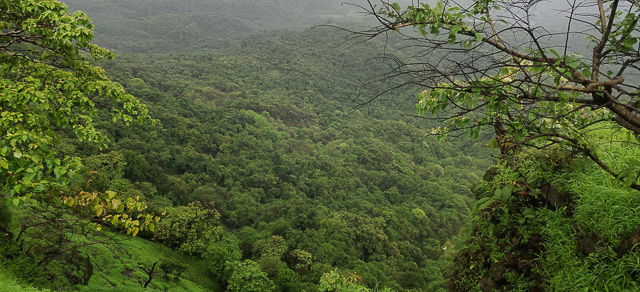 Image of Karnala Bird Sanctuary 